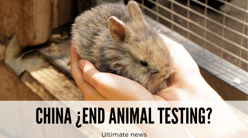 ¿Fin de las pruebas con animales en China? Todavía no