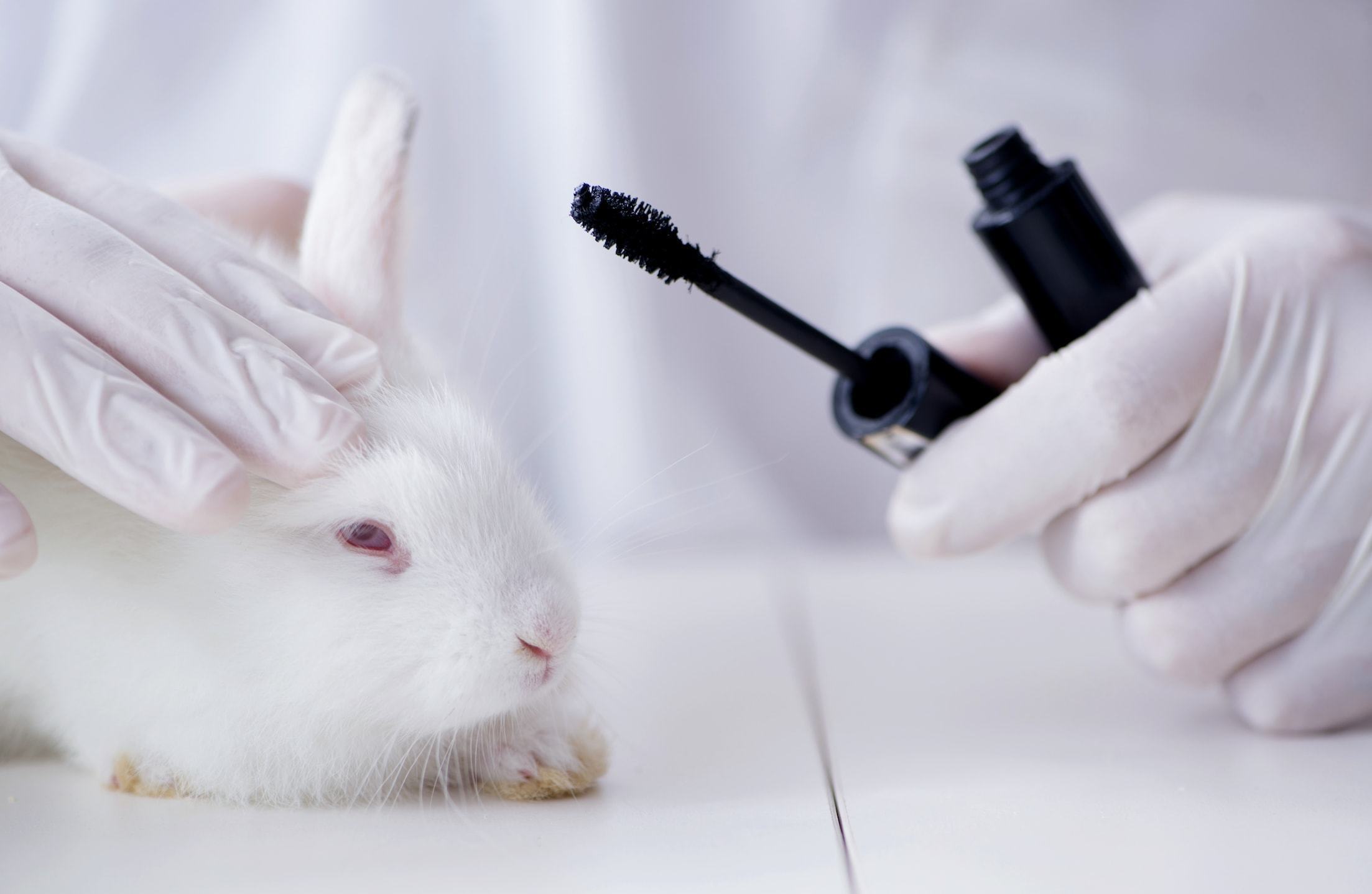 Aprueban alternativas a las pruebas con animales en China