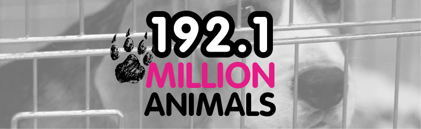 Millones de animales sacrificados en experimentos